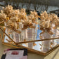 Fiole personnalisée "Eau De Cologne »